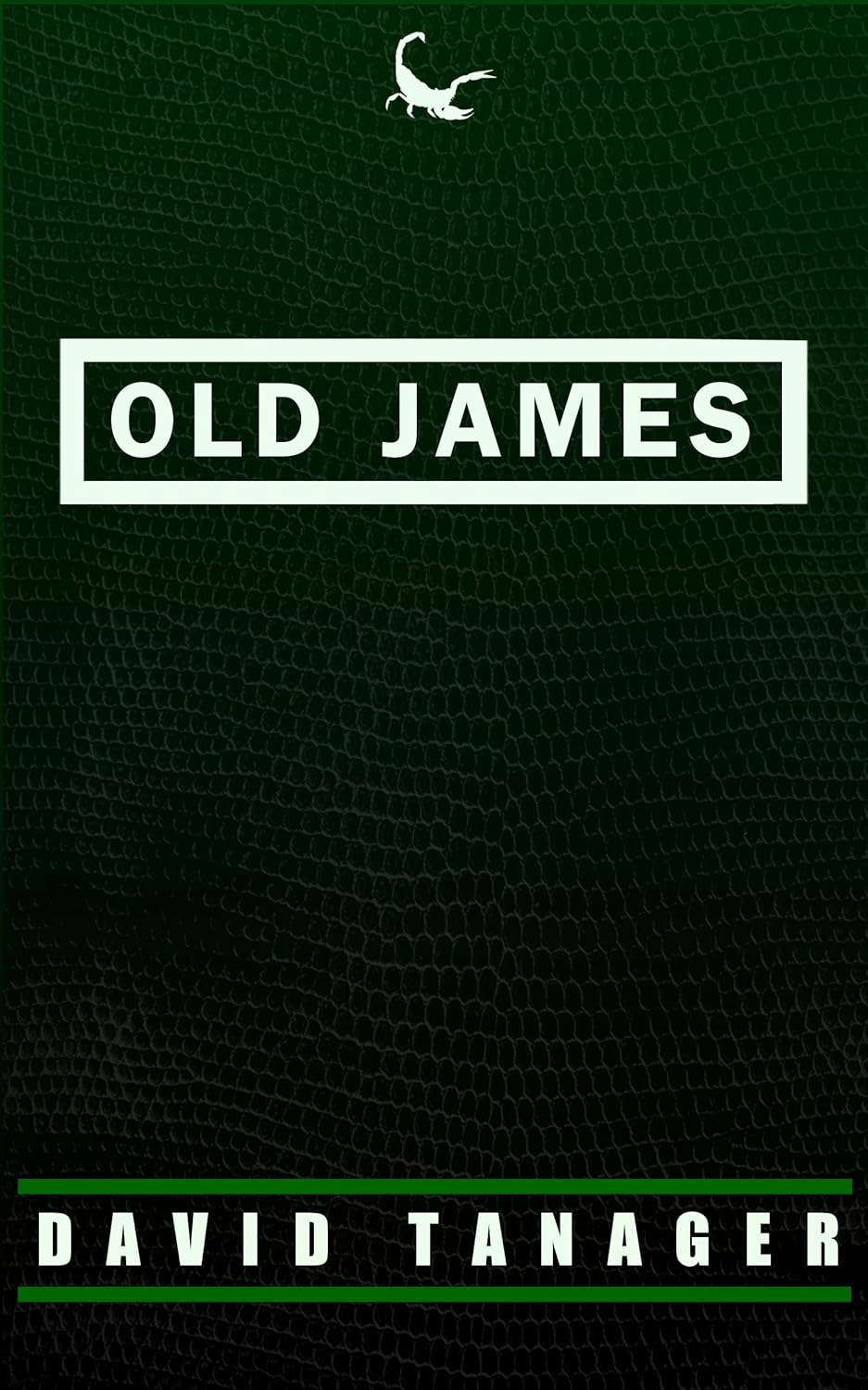 Old James (A Quiet Night's Rest Book 2) poster