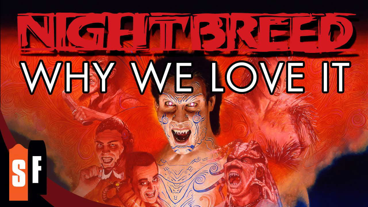 Why We Love It