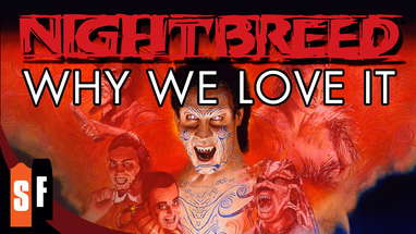 Why We Love It poster