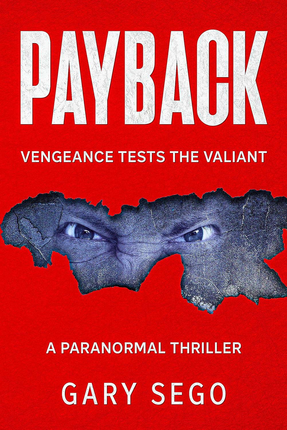 PAYBACK: Vengeance Tests the Valiant (Solo Series Book 2) poster