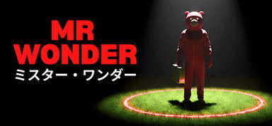 Mr Wonder capsule