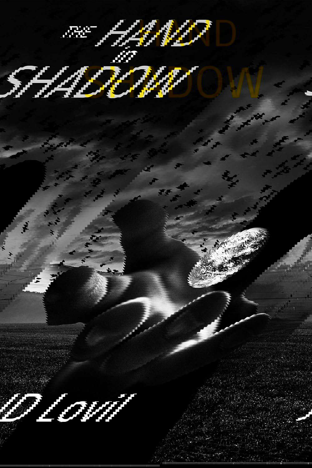 The Hand In Shadow poster