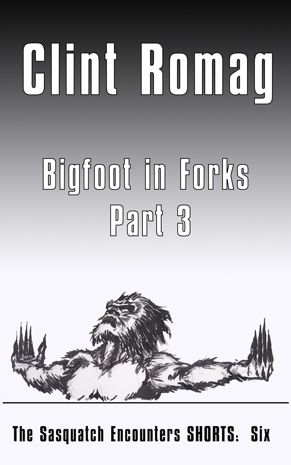 Bigfoot in Forks - Part 3: The Sasquatch Encounters SHORTS: Six poster