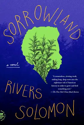 Sorrowland poster
