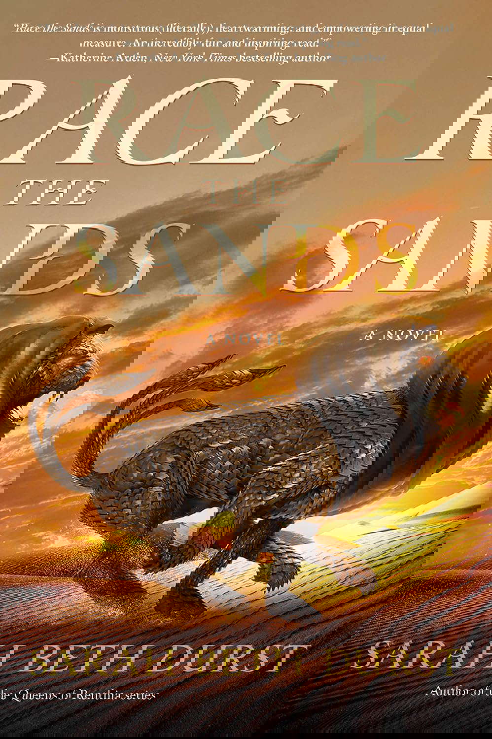 Race the Sands: A Novel poster