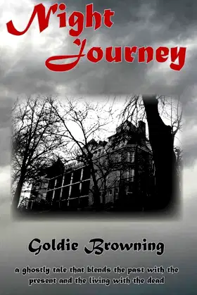 Night Journey poster