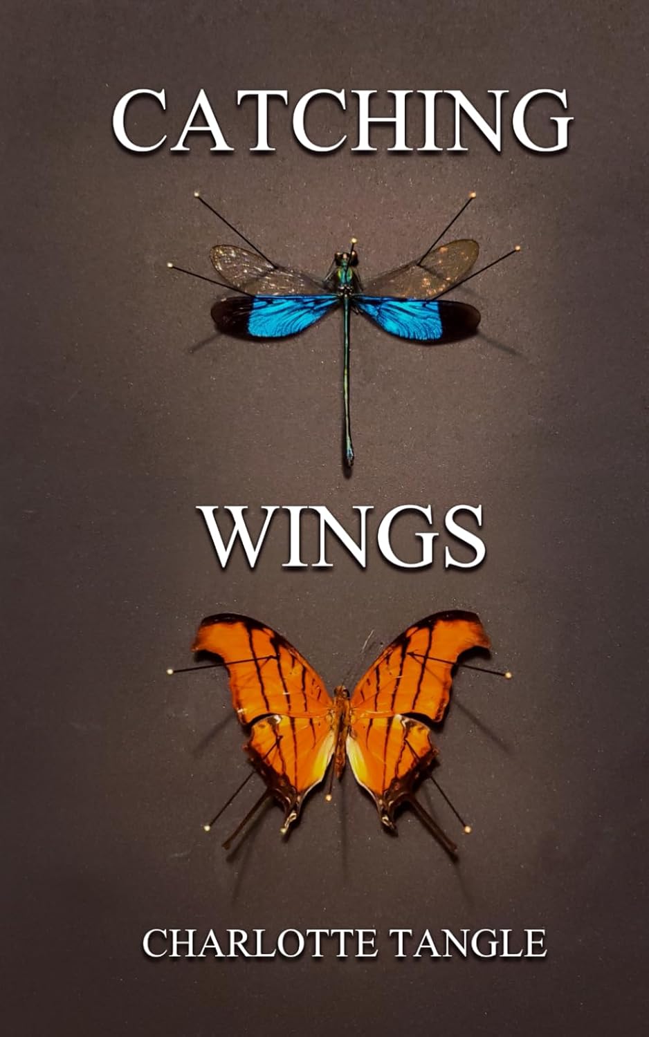 Catching Wings poster