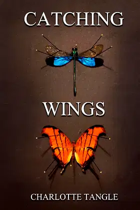 Catching Wings poster