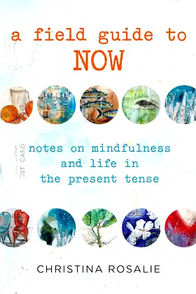 Field Guide to Now: Notes On Mindfulness And Life In The Present Tense poster