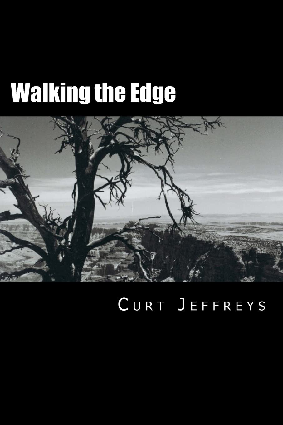 Walking the Edge poster