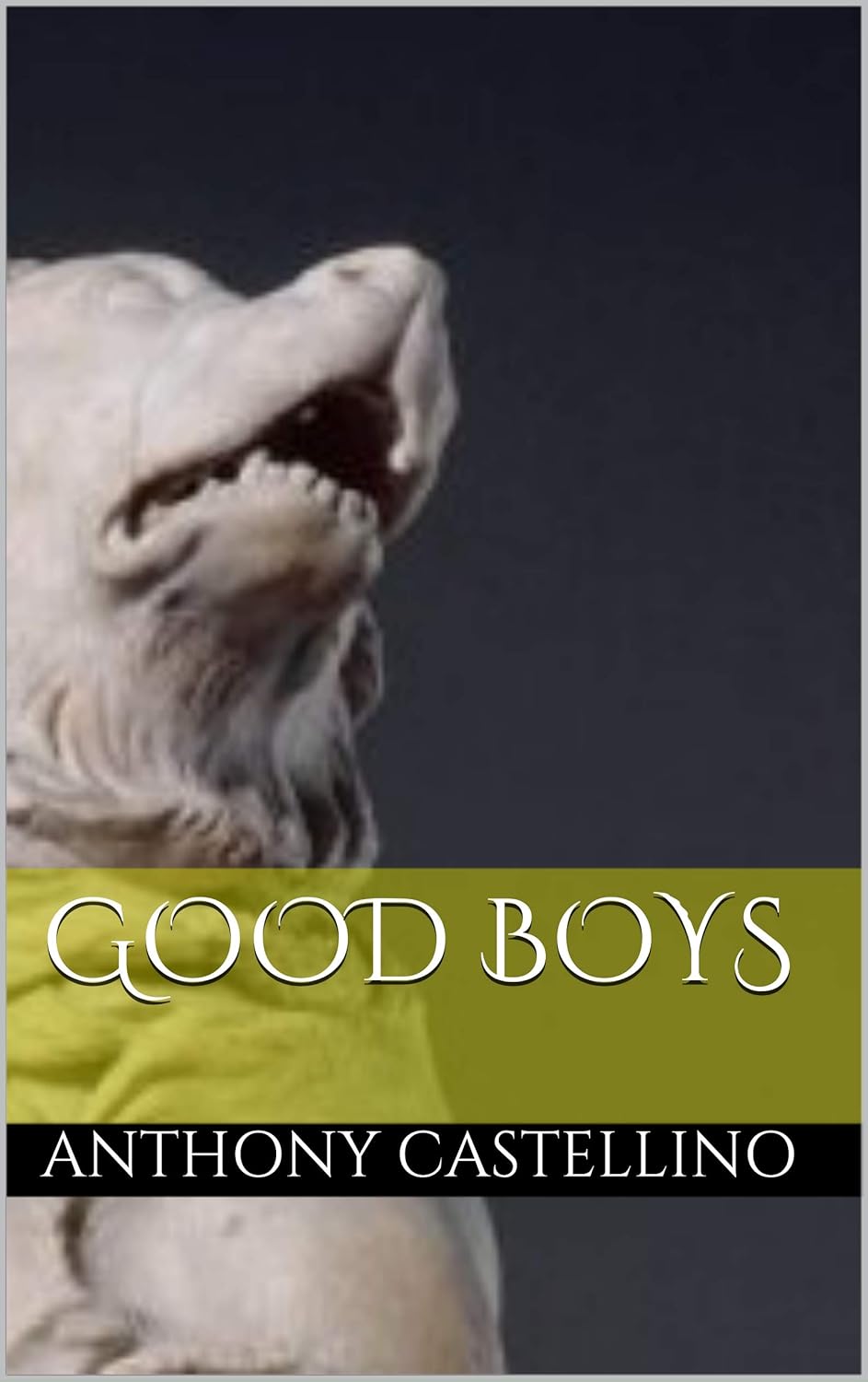 Good Boys poster
