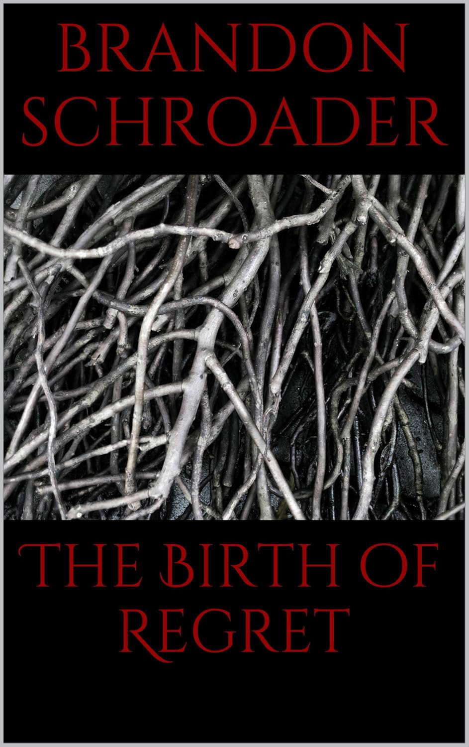 The Birth of Regret (The Scrolls of Animus Vorador Book 1) poster