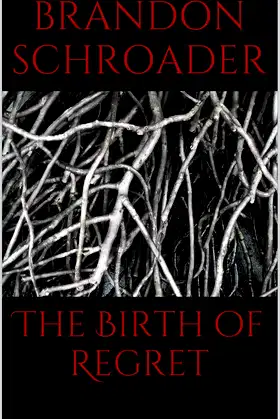 The Birth of Regret (The Scrolls of Animus Vorador Book 1) poster