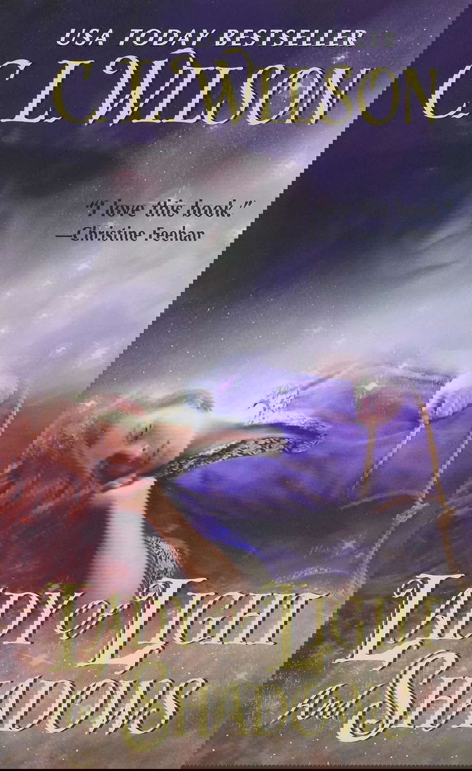 Lady of Light and Shadows (Tairen Soul, 2) poster