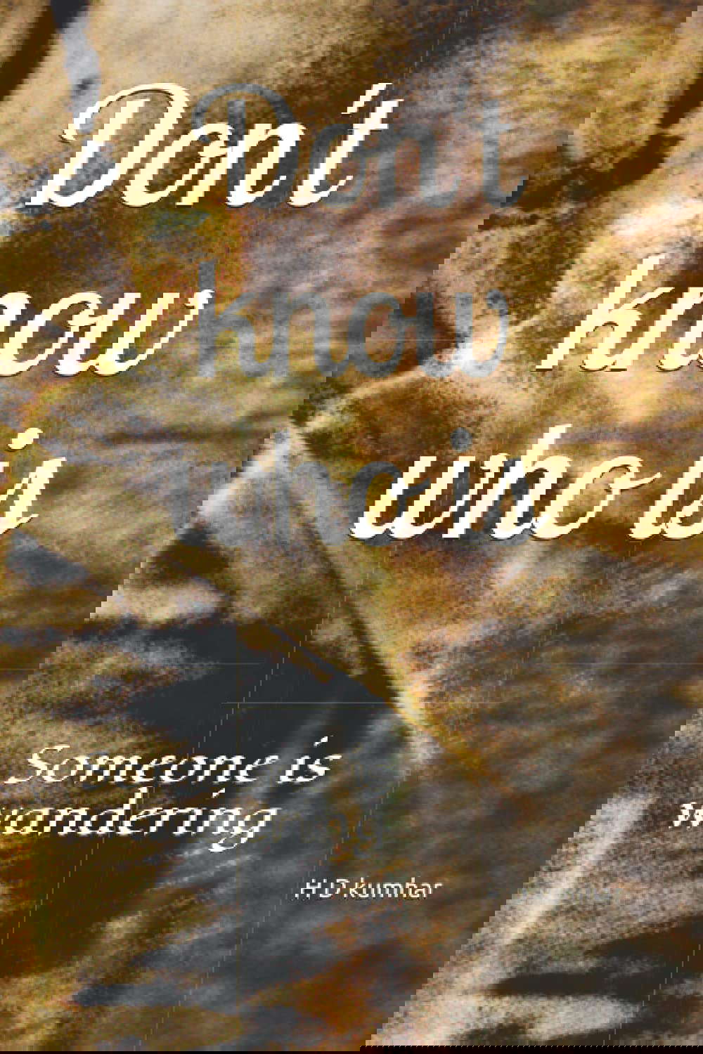 Don't know who is: Someone is wandering poster
