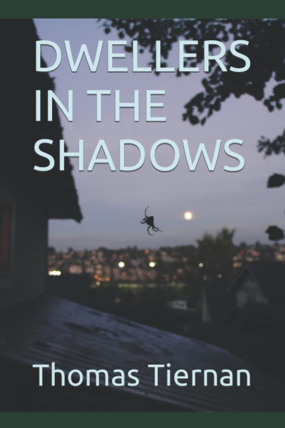 DWELLERS IN THE SHADOWS poster