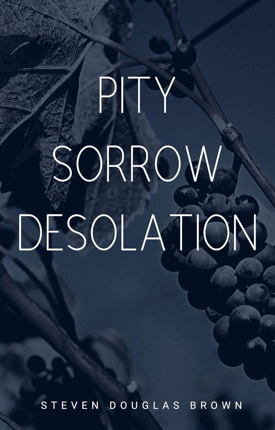 PITY SORROW DESOLATION: The Vineyard Trilogy poster