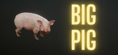 Big Pig capsule