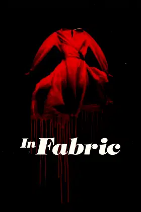 In Fabric poster