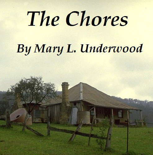 The Chores poster