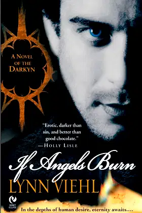 If Angels Burn: A Novel of the Darkyn poster