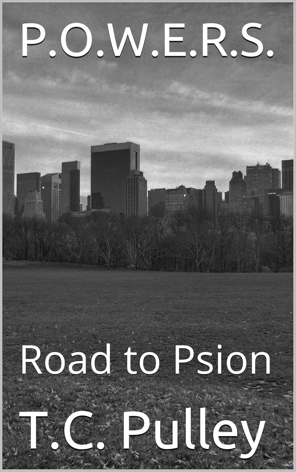 P.O.W.E.R.S.: Road to Psion poster