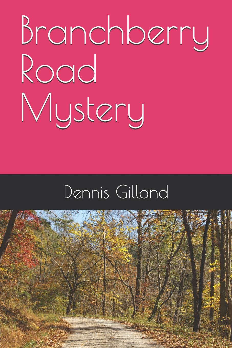 Branchberry Road Mystery poster