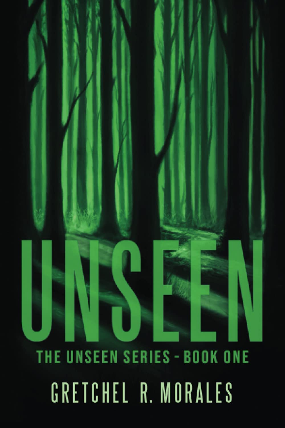 Unseen (The Unseen Series) poster