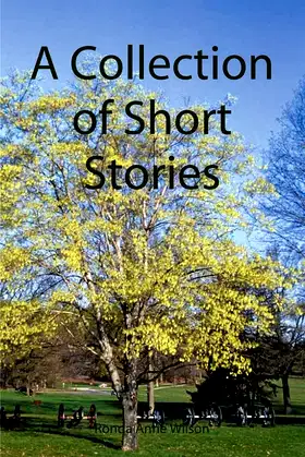 A Collection of Short Stories poster