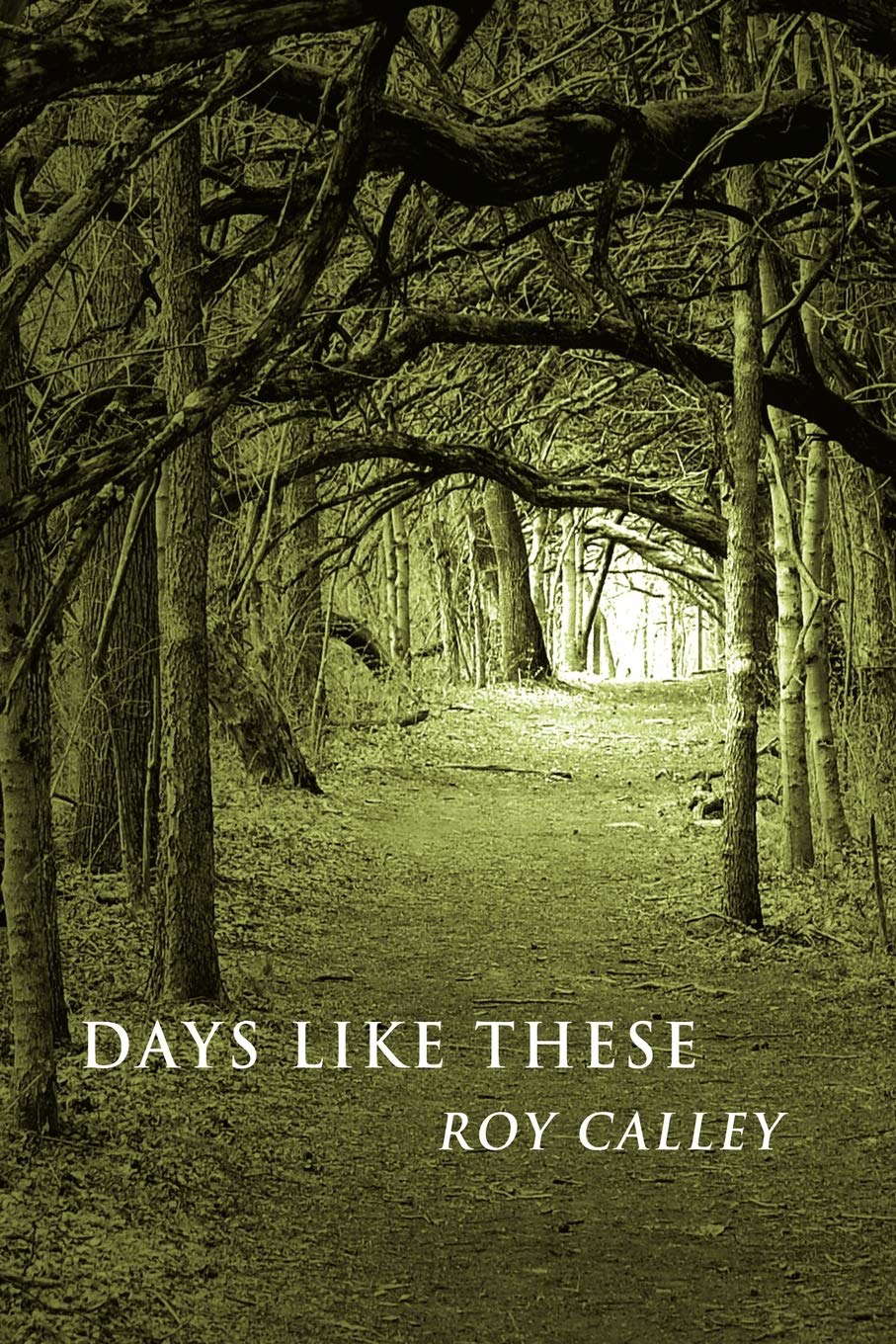 Days Like These poster