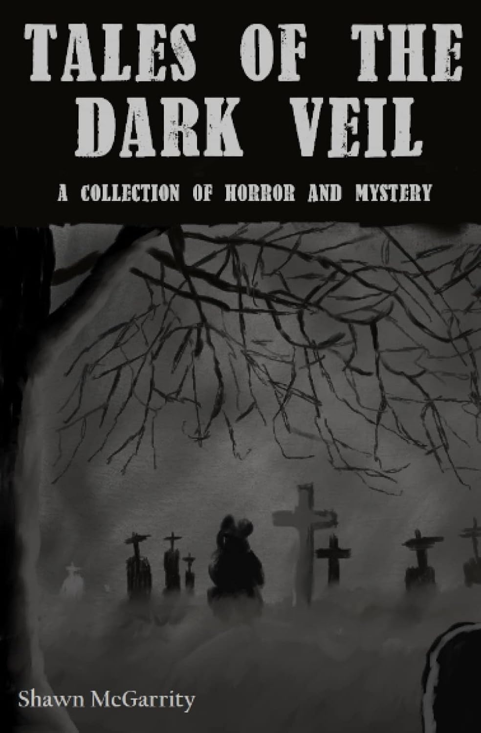 Tales of the Dark Veil poster