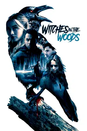 Witches in the Woods poster