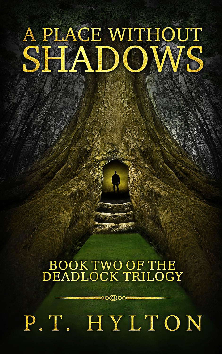 A Place Without Shadows (Deadlock Trilogy Book 2) poster