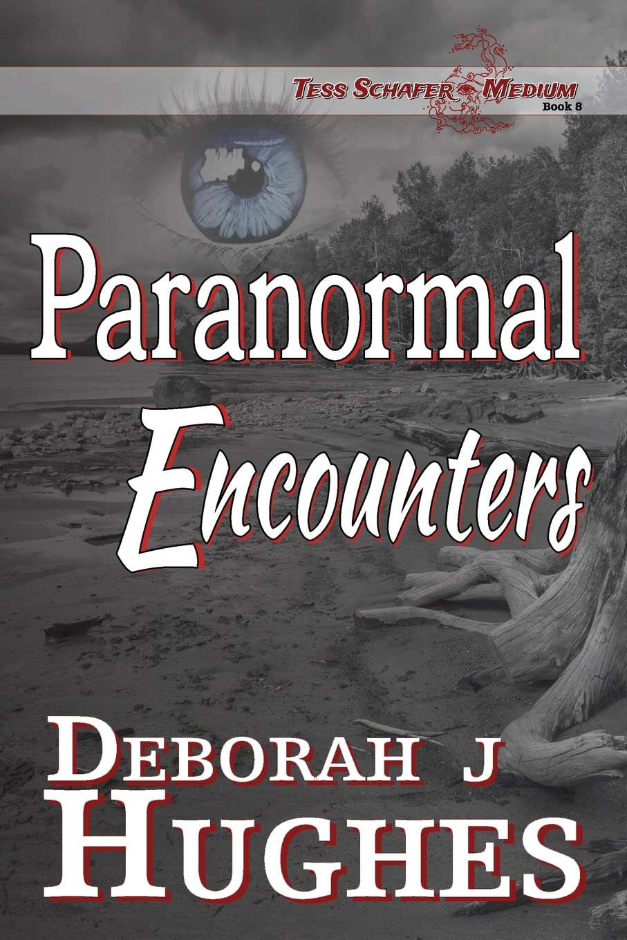 Paranormal Encounters (Tess Schafer-Medium) poster