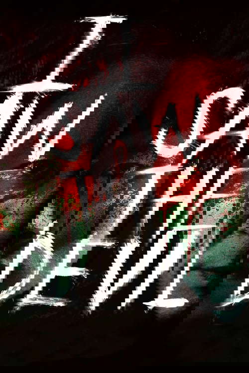 I Saw the Devil poster