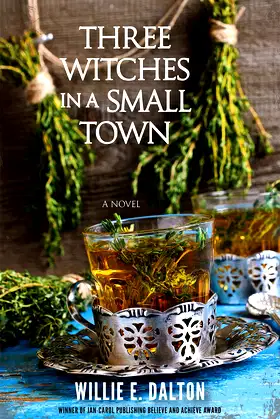 Three Witches in a Small Town poster