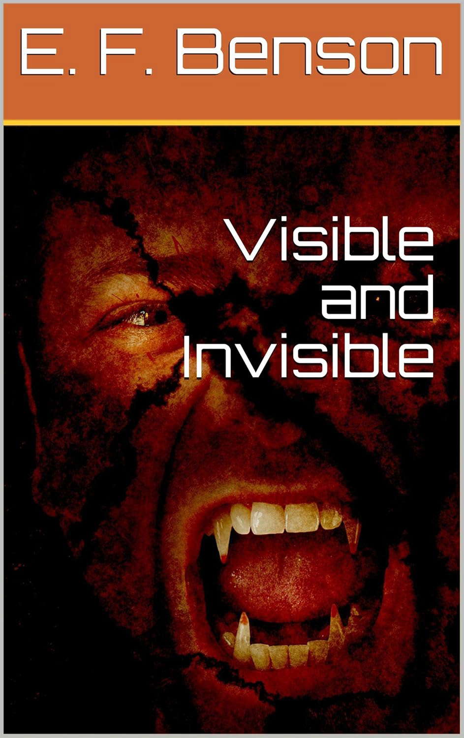 Visible and Invisible poster