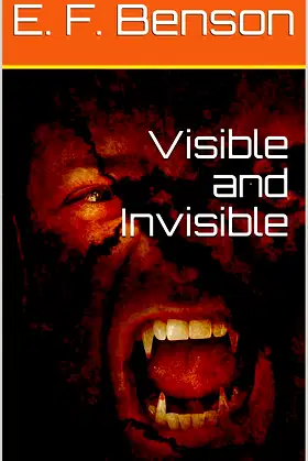Visible and Invisible poster