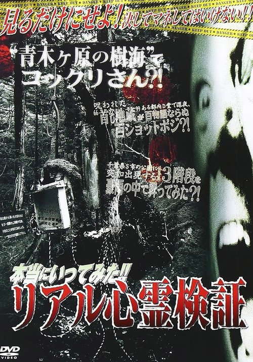 I Really Went There!! Real Supernatural Investigation poster