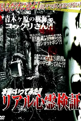 I Really Went There!! Real Supernatural Investigation poster