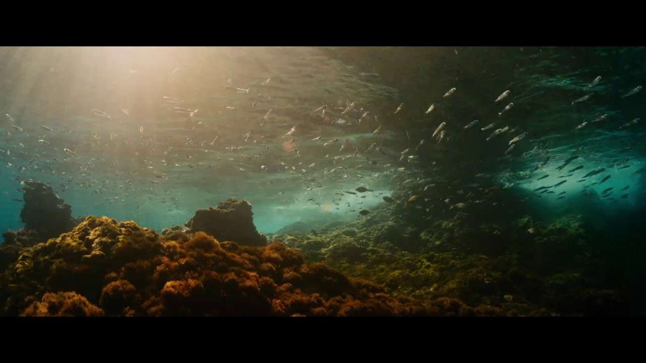 EVOLUTION - Official UK Trailer - In Cinemas 6th May