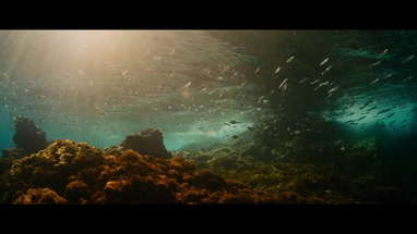 EVOLUTION - Official UK Trailer - In Cinemas 6th May poster