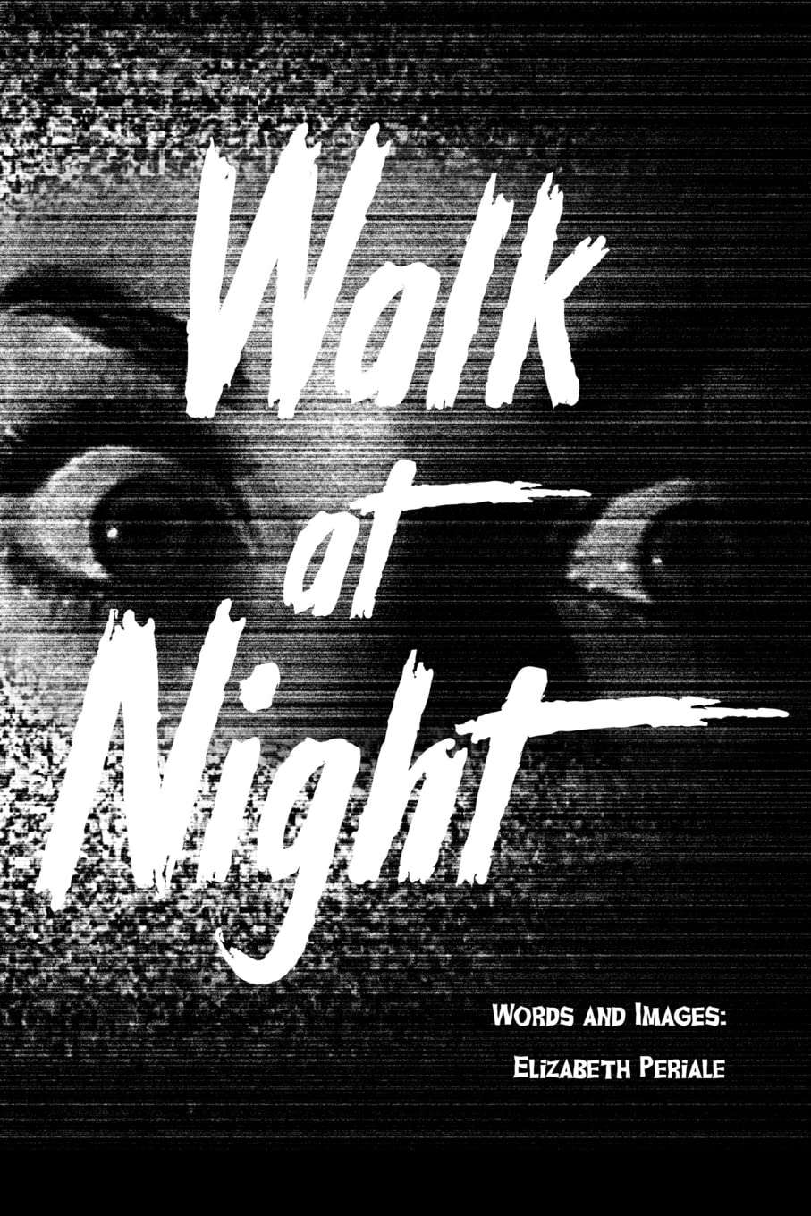 Walk At Night poster