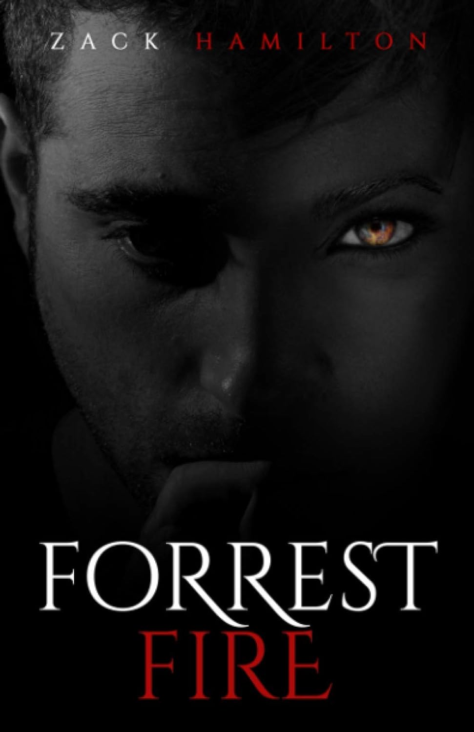 Forrest Fire poster