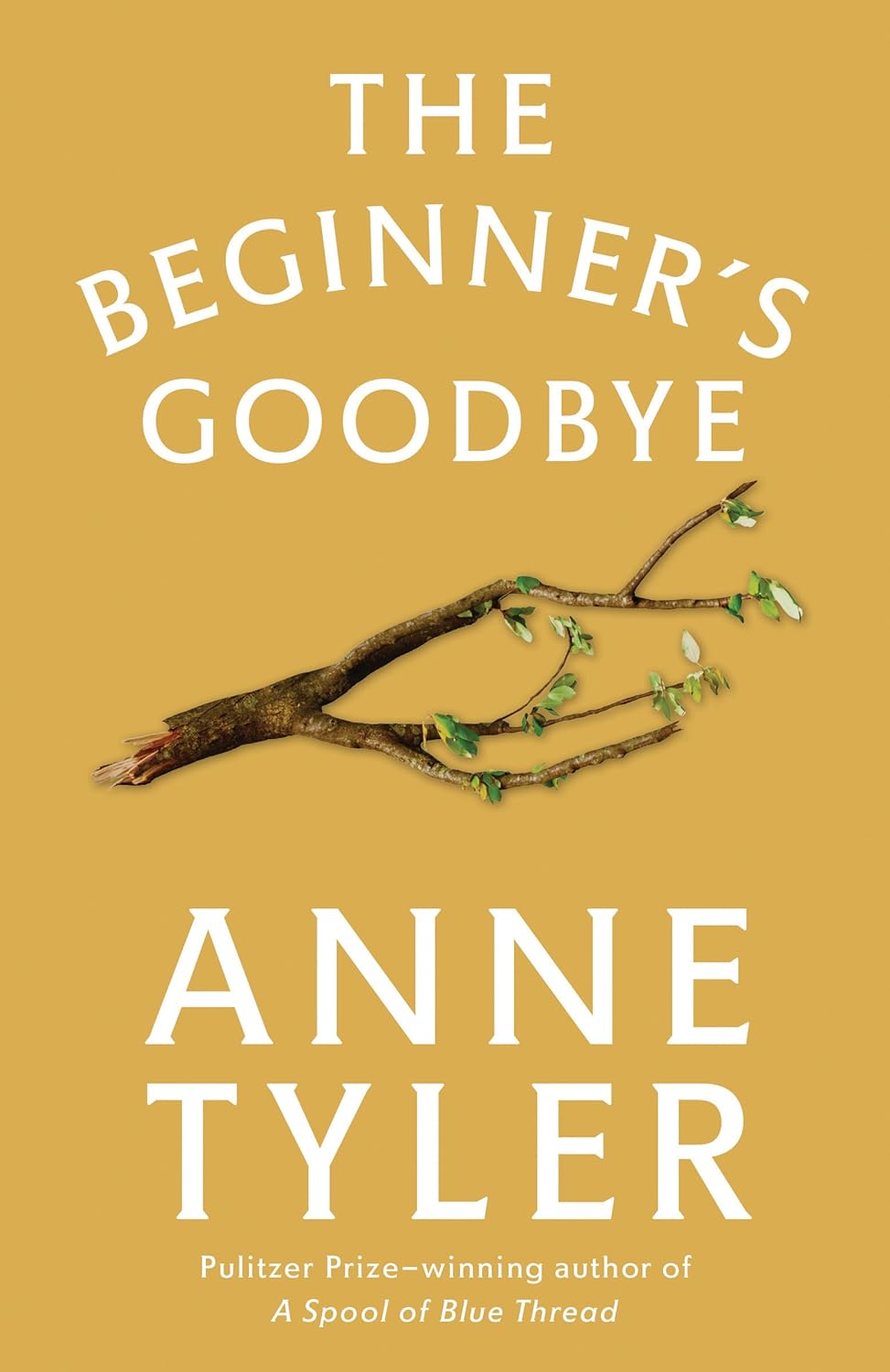 The Beginner's Goodbye poster