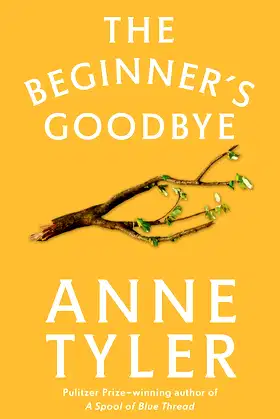 The Beginner's Goodbye poster