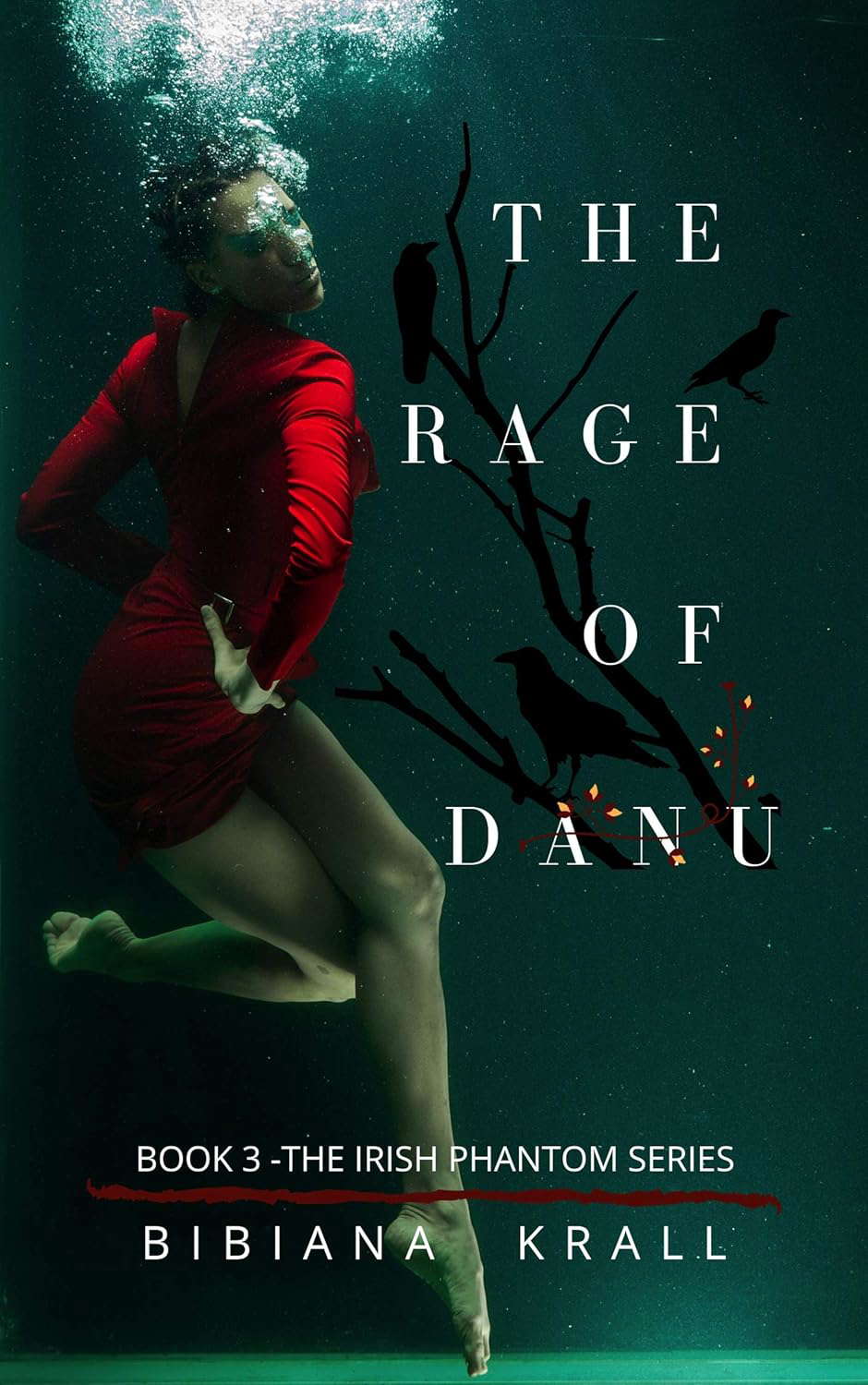 The Rage of Danu (The Irish Phantom Series Book 3) poster