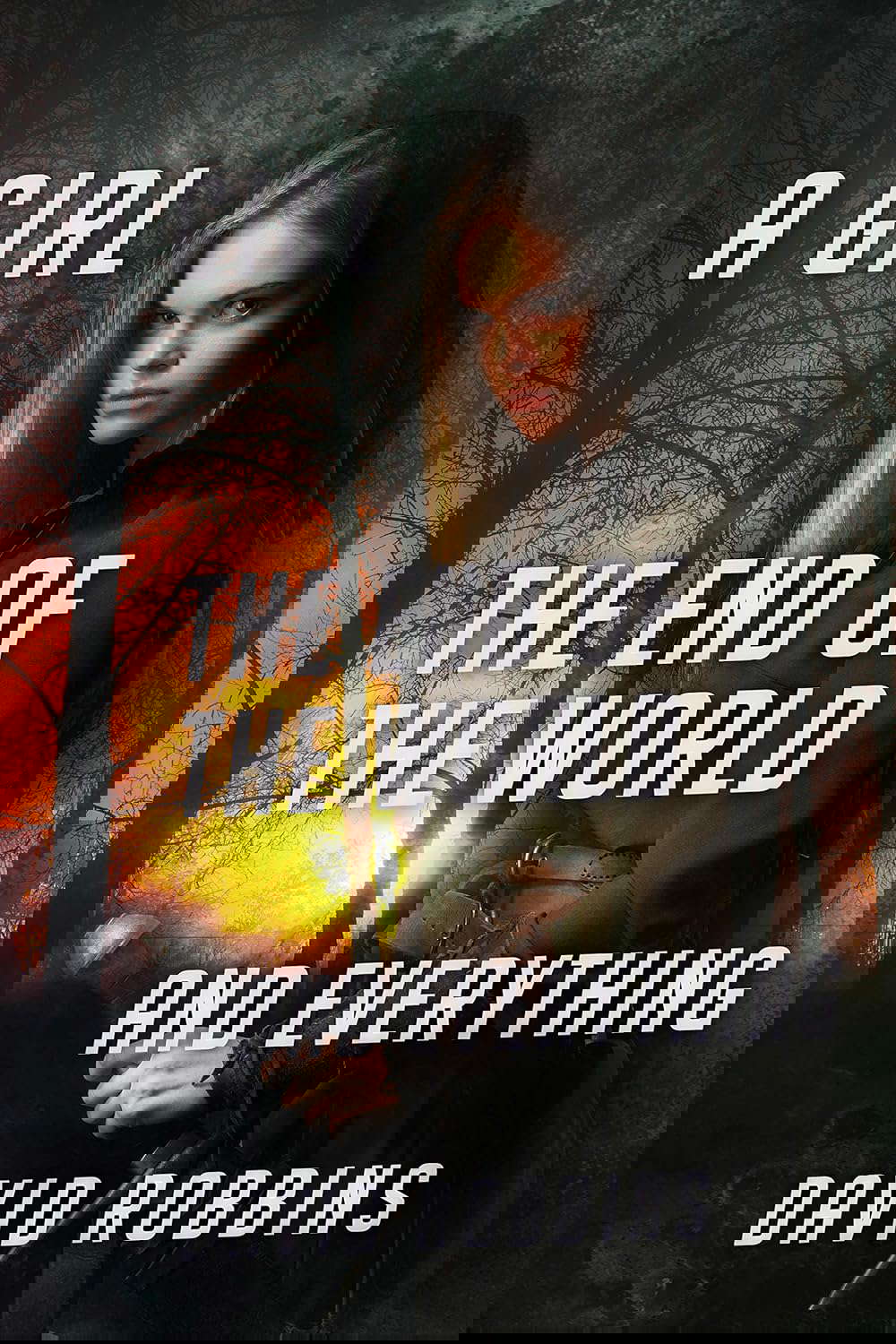 A Girl, The End Of The World And Everything poster