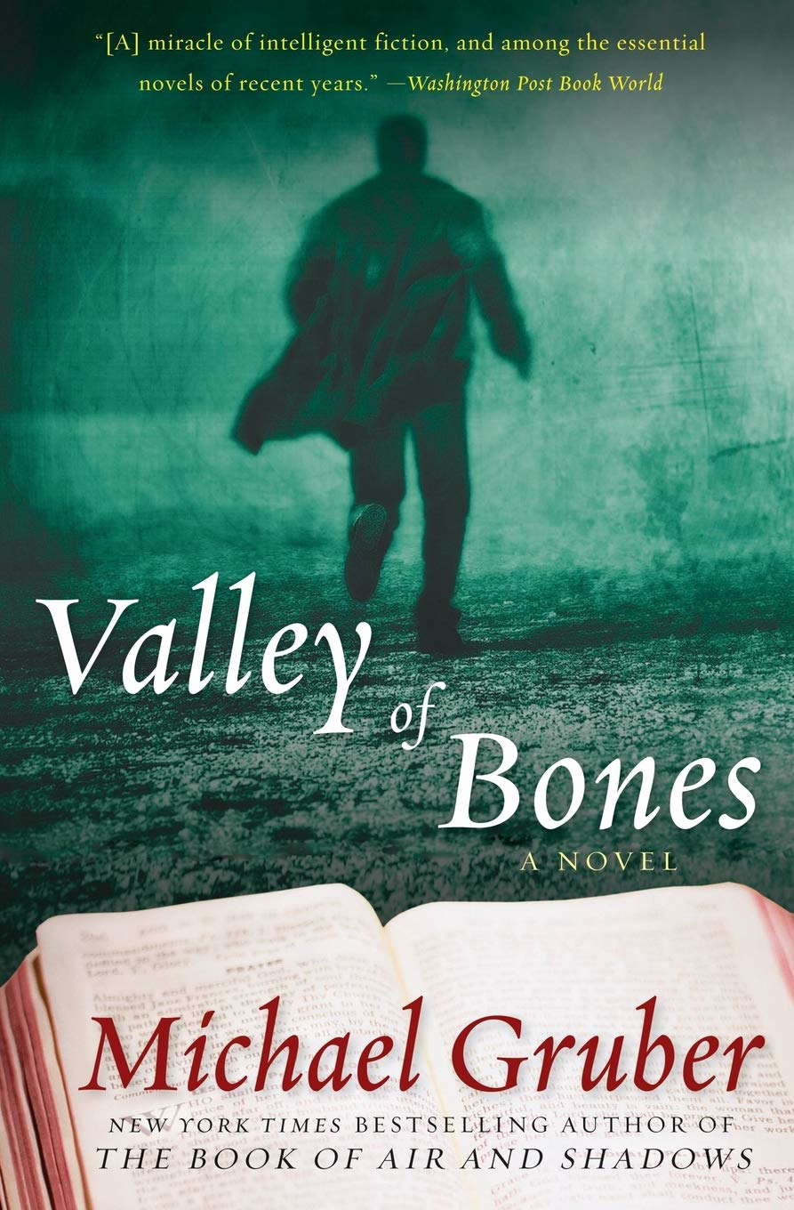 Valley of Bones: A Novel (Jimmy Paz, 2) poster