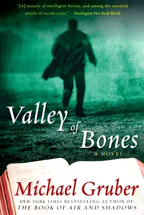 Valley of Bones: A Novel (Jimmy Paz, 2) poster